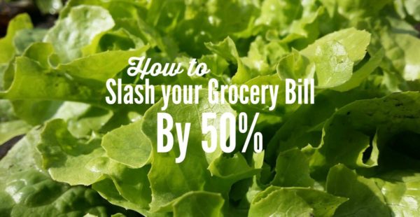 frugal living tip - save 50% on grocery shopping