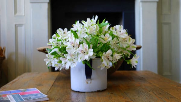 Thrifty ideas for cosy decoration includes indoor plants and fresh flowers